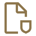 icon document security